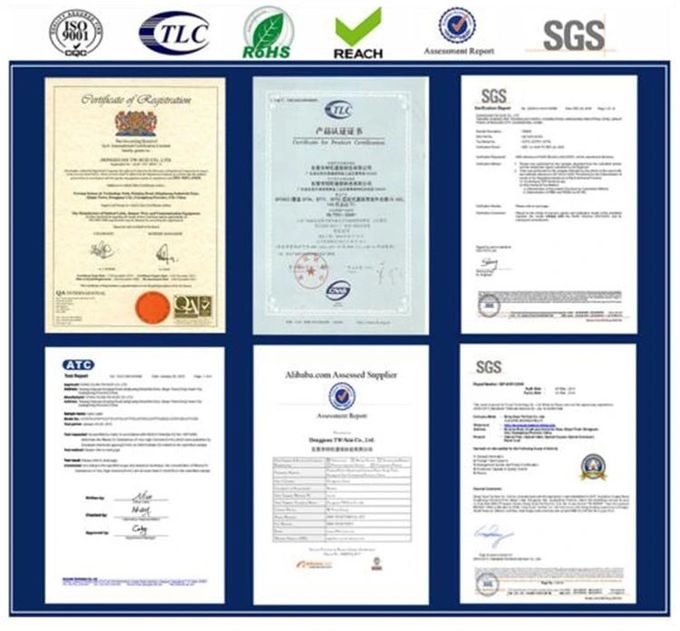 DONGGUAN TW-SCIE CO., LTD. Firmenprofil